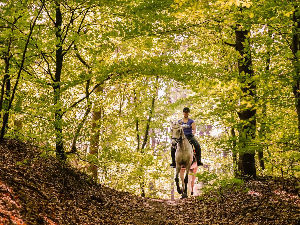 Relais & Chateaux Hotel Landgoed Het Roode Koper Ermelo Eksteriør bilde